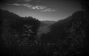 ashraya blog cover bw